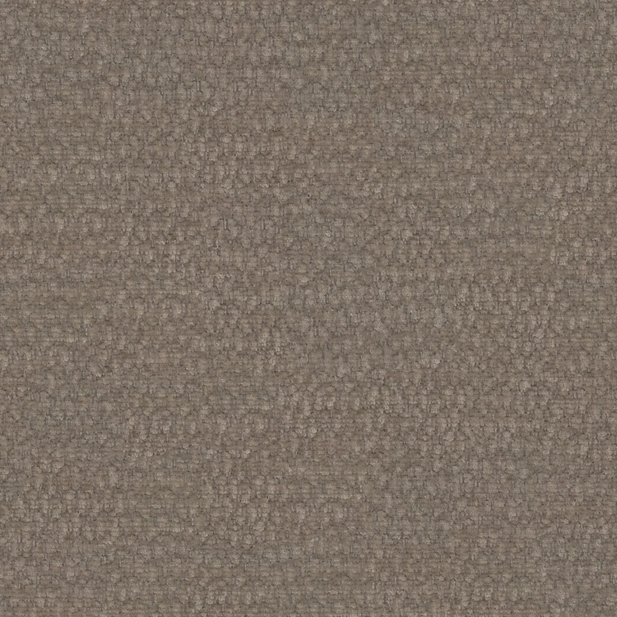Rozzo 2,5A Vibe 21 – närbild